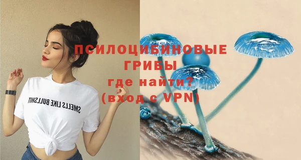 молекула духа Нея