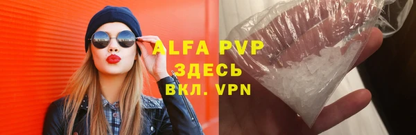 стаф Аша