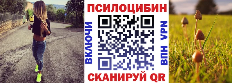 Псилоцибиновые грибы Magic Shrooms  где можно купить   mega сайт  Шимановск 
